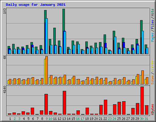 Daily usage for January 2021