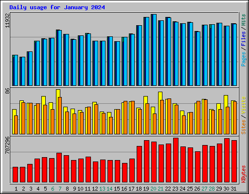 Daily usage for January 2024