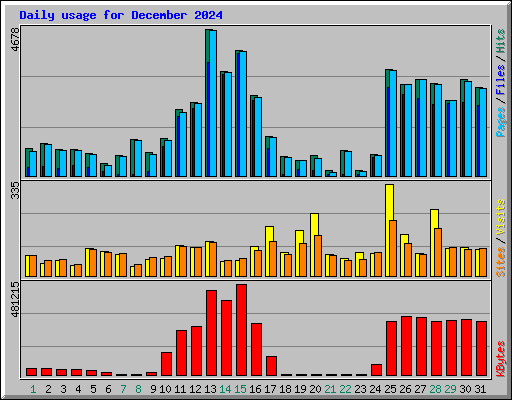 Daily usage for December 2024