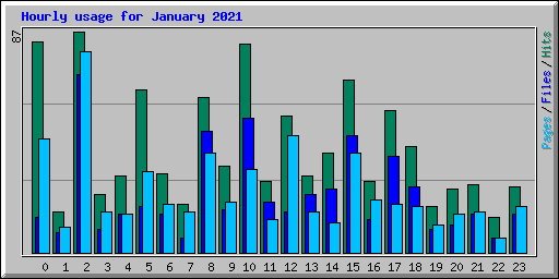 Hourly usage for January 2021