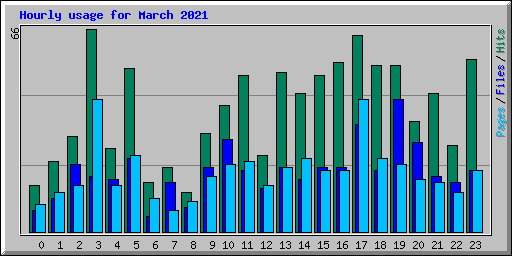 Hourly usage for March 2021