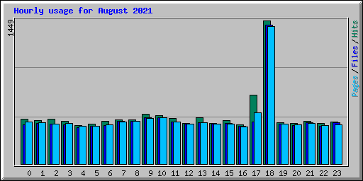 Hourly usage for August 2021