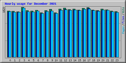 Hourly usage for December 2021