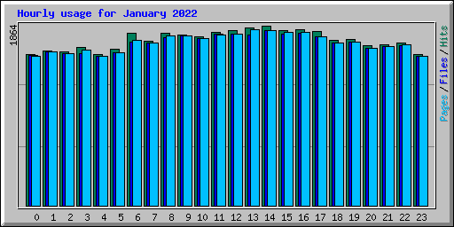 Hourly usage for January 2022