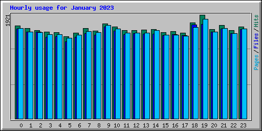 Hourly usage for January 2023