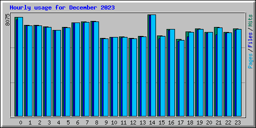 Hourly usage for December 2023