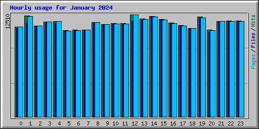 Hourly usage for January 2024