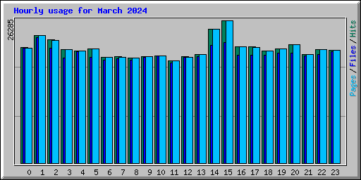 Hourly usage for March 2024