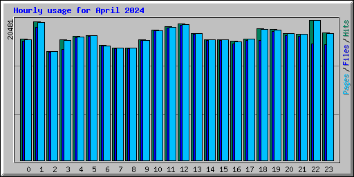 Hourly usage for April 2024