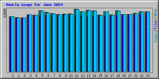 Hourly usage for June 2024