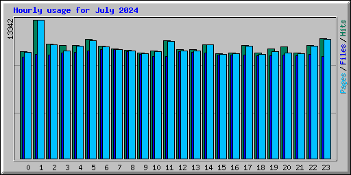 Hourly usage for July 2024