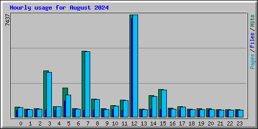 Hourly usage for August 2024