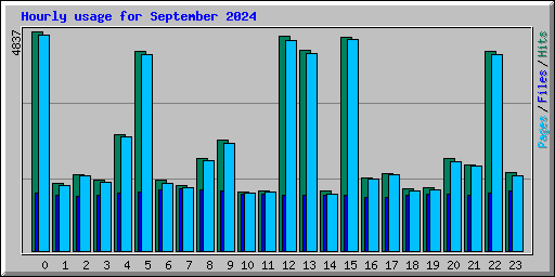 Hourly usage for September 2024