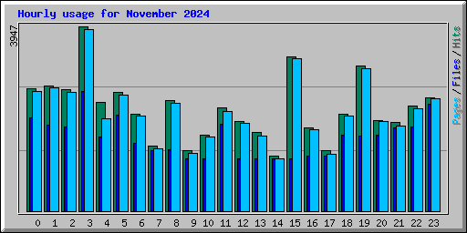 Hourly usage for November 2024