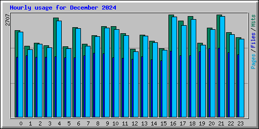 Hourly usage for December 2024