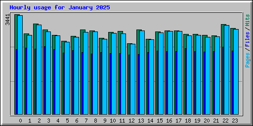 Hourly usage for January 2025