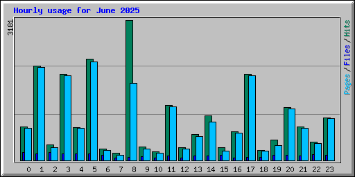 Hourly usage for June 2025