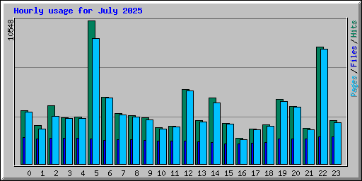 Hourly usage for July 2025