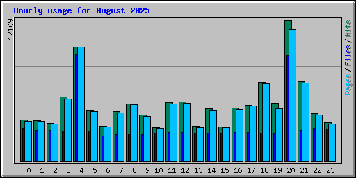 Hourly usage for August 2025