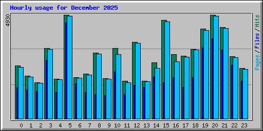 Hourly usage for December 2025