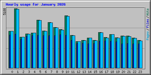 Hourly usage for January 2026