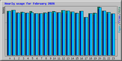 Hourly usage for February 2026