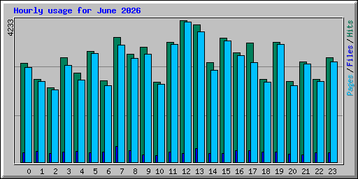 Hourly usage for June 2026